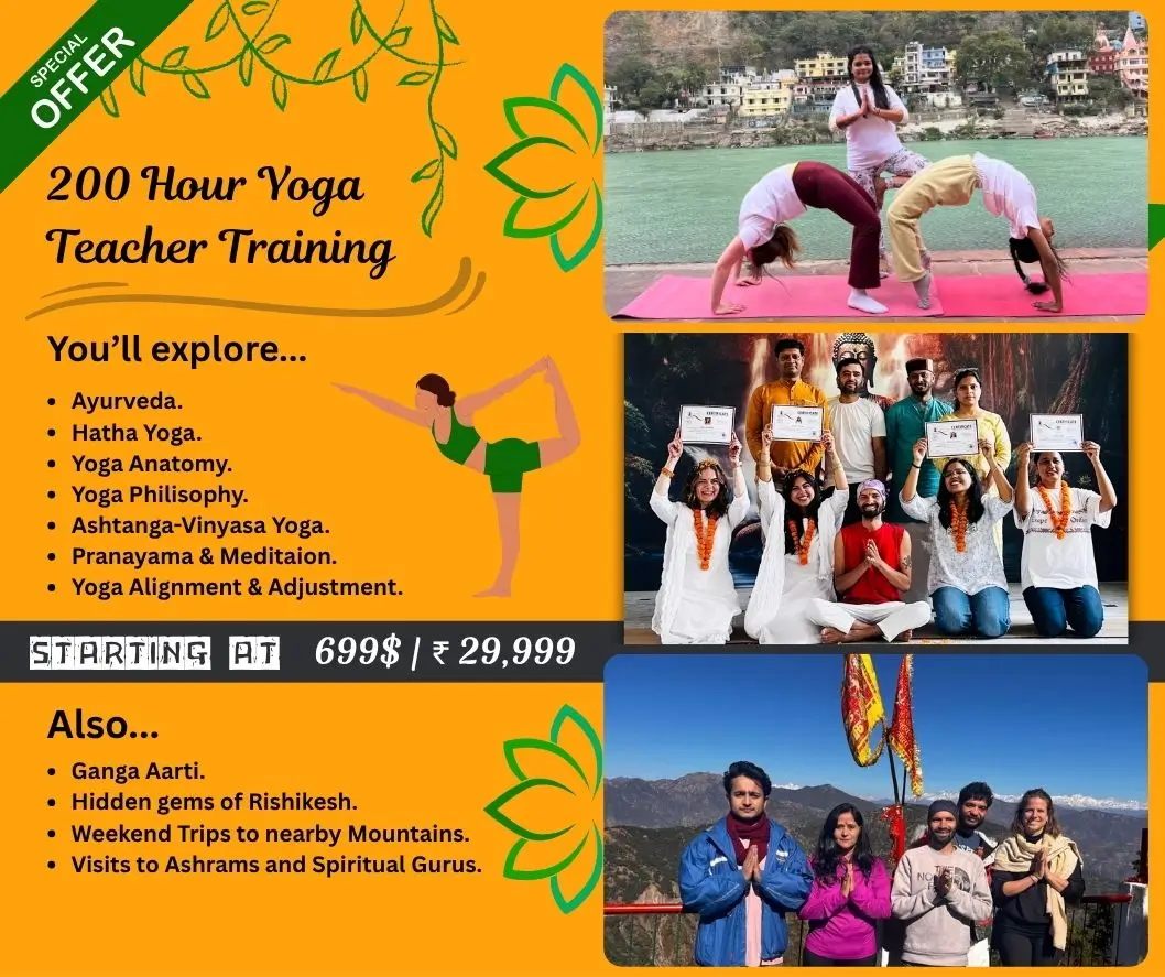 200 Hour Yoga Teacher Training Course Details and Discount Offer