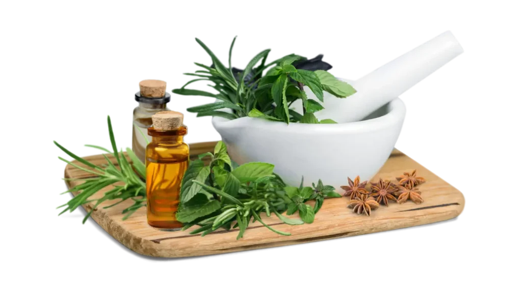 Ayurvedic herbs for massage therapy in rishikesh india