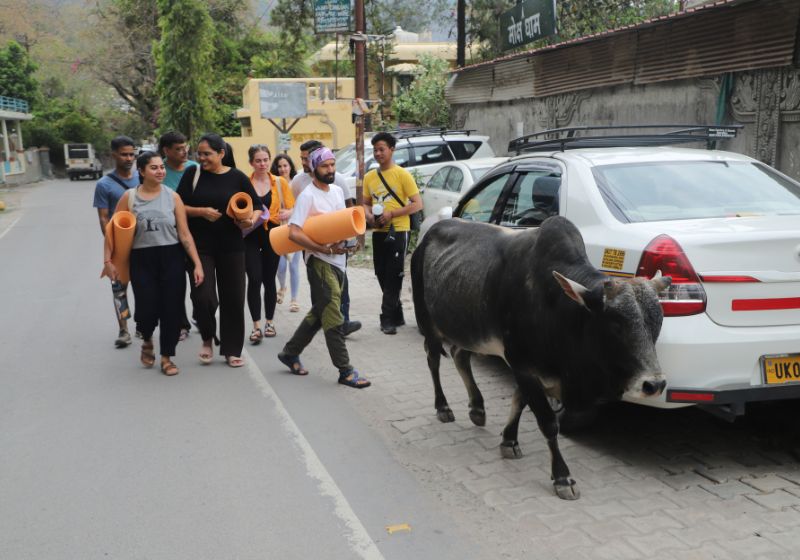 Yoga Students and teachers going for yoga on beach