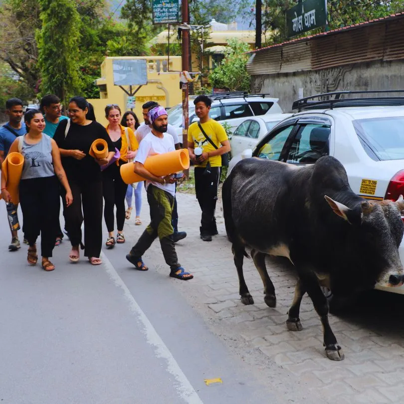 going for a rishikesh beach during 5 day yoga retreat