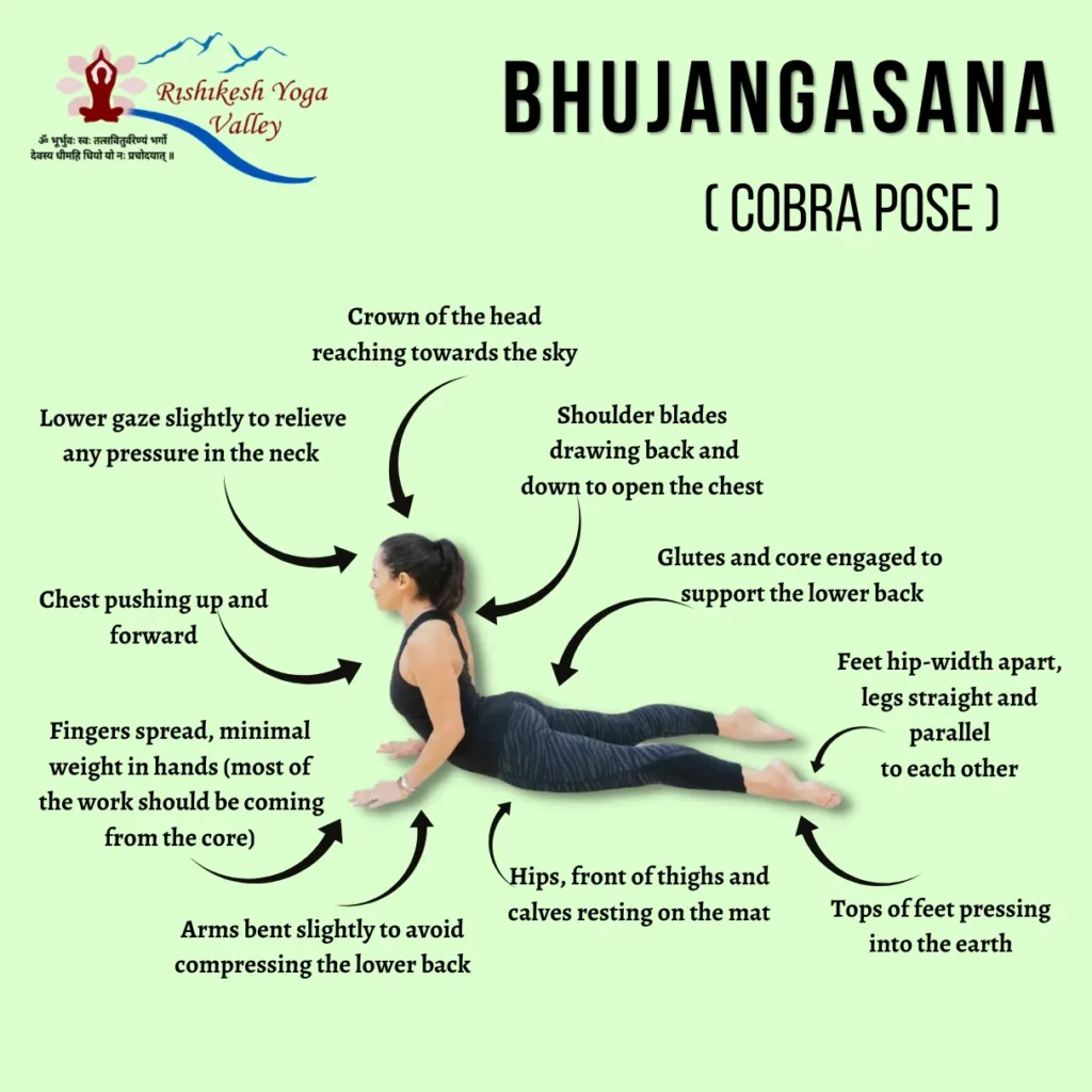 Step-by-step alignment guide for Cobra Pose (Bhujangasana) showing proper posture, chest opening, core engagement, and correct leg positioning for a safe and effective cobra pose in yoga practice