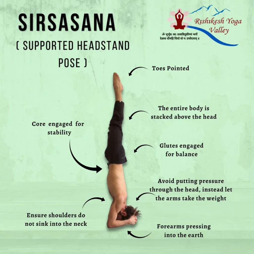 An instructional guide for Sirsasana (Supported Headstand), showing a practitioner in a vertical inversion with annotations for proper alignment, including core engagement and weight distribution on the forearms.