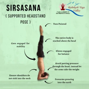 An instructional guide for Sirsasana (Supported Headstand), showing a practitioner in a vertical inversion with annotations for proper alignment, including core engagement and weight distribution on the forearms.