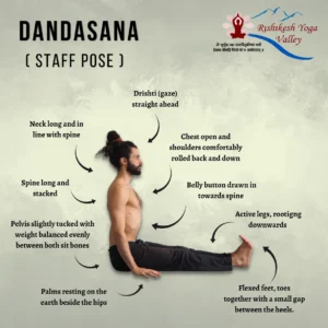 A comprehensive alignment guide for Dandasana (Staff Pose) featuring a man sitting on the floor with legs extended, spine tall, and hands beside hips. The image includes anatomical pointers for correct posture, such as a long spine, flexed feet, and engaged core
