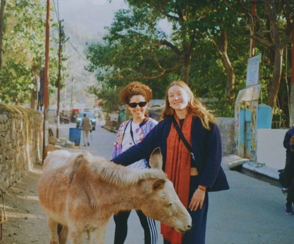 Yoga teacher training students interacting with a cow and exploring local culture in Rishikesh, India.