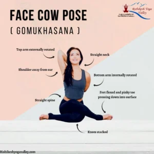 Woman demonstrating Gomukhasana (Face Cow Pose) seated with stacked knees and clasped hands behind her back, showing shoulder alignment, straight spine, neck posture, and foot positioning cues.