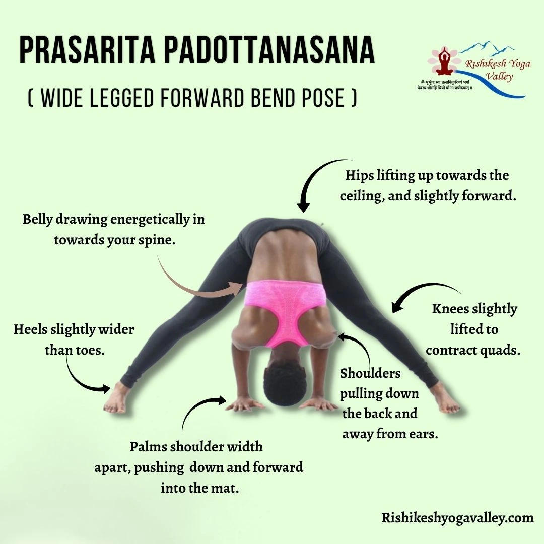 Illustration of Prasarita Padottanasana (Wide Legged Forward Bend Pose) showing a person in a deep forward fold with legs spread wide and hands on the floor, along with alignment cues for hips, shoulders, knees, heels, palms, and core engagement.