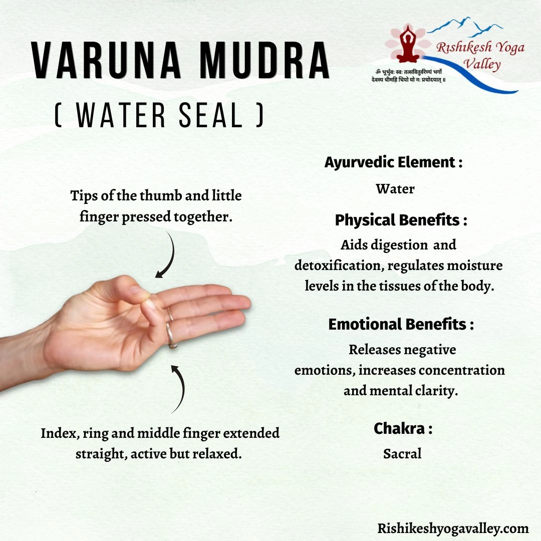 Varuna Mudra (Water Seal) hand gesture infographic showing finger placement, Ayurvedic water element connection, digestion benefits, emotional balance, and sacral chakra healing.
