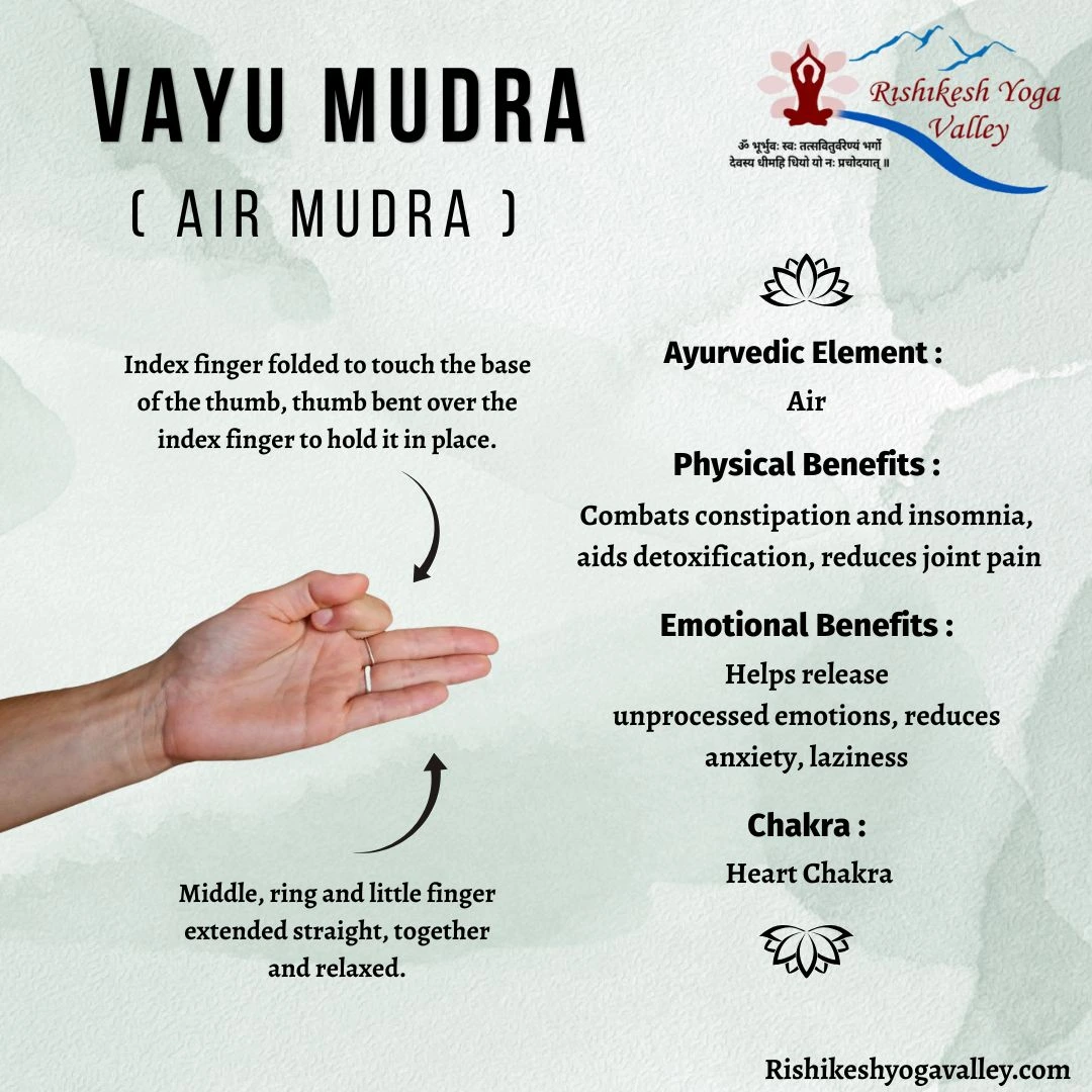 Vayu Mudra (Air Mudra) infographic showing correct hand gesture, Ayurvedic air element connection, emotional balance benefits, anxiety relief, detoxification, and heart chakra support.