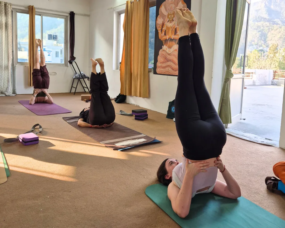 Students practicing shoulder stand pose (Sarvangasana) during a 100 hour yoga teacher training in Rishikesh