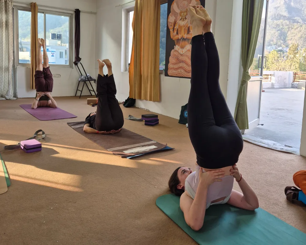 Yoga students practicing Sarvangasana shoulder stand during a 50 hour yoga teacher training in Rishikesh, India