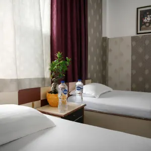 Clean twin-bed student room accommodation for 50 hour yoga teacher training in rishikesh with nightstand, plant, and water bottles.