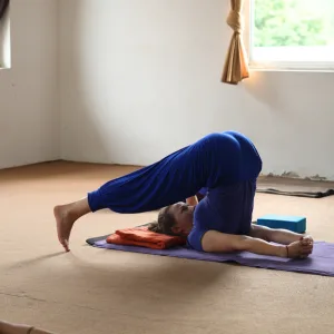 Woman practicing Halasana (plow pose) on a mat during an aerial yoga teacher training in Rishikesh.