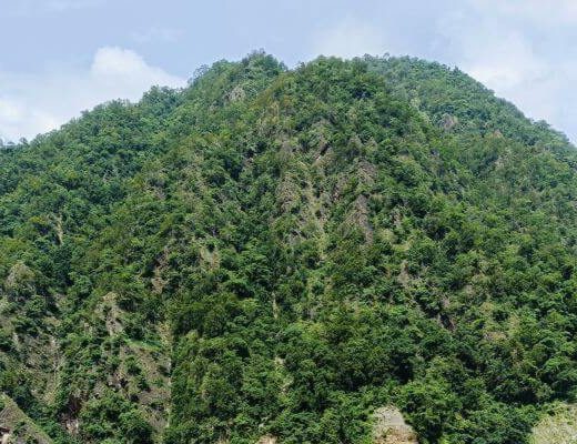 Nature and ground yoga retreat moutain in rishikesh