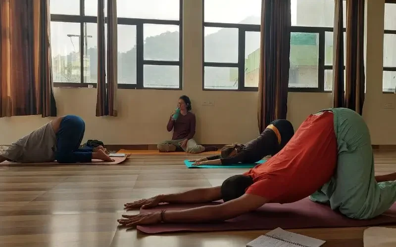 Yoga Students practicing during 100 hour yoga teacher training in rishikesh india