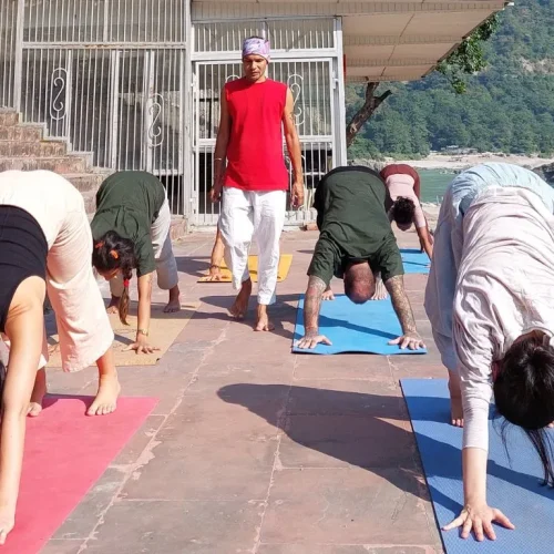 yoga ttc student doing asana